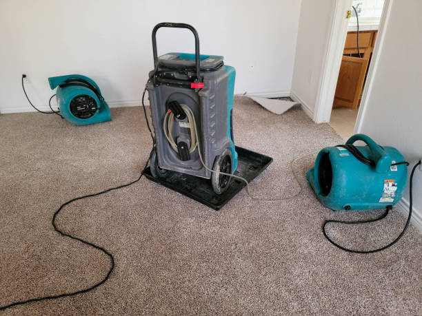Best Mold removal after water damage  in Chestnut Ridge, NY