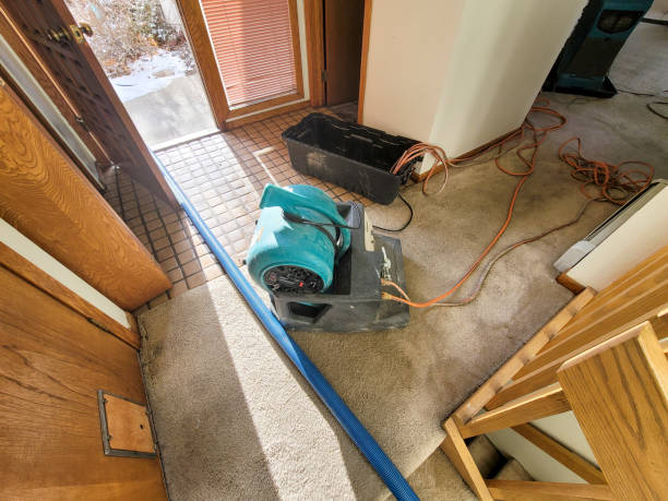 Best Sewage cleanup and water damage restoration  in Chestnut Ridge, NY