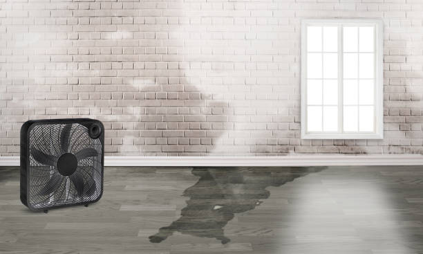 Best 24-hour water damage restoration  in Chestnut Ridge, NY