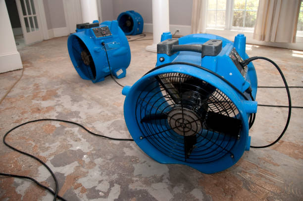 Reliable Chestnut Ridge, NY Water damage restoration Solutions