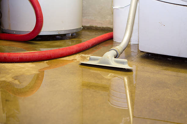Best Basement water damage restoration  in Chestnut Ridge, NY