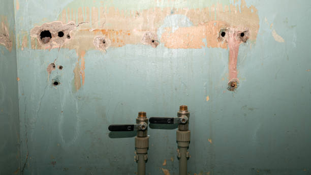 Best Commercial water damage restoration  in Chestnut Ridge, NY