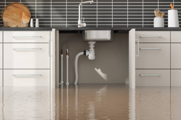 Best Fire Damage Restoration  in Chestnut Ridge, NY