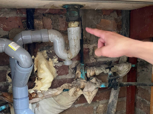 Best Residential water damage restoration  in Chestnut Ridge, NY