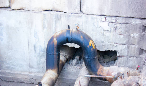 Best Flood restoration services  in Chestnut Ridge, NY