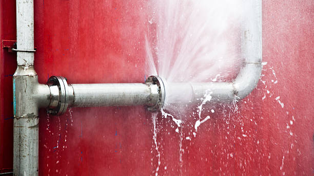 Best Water damage cleanup near me  in Chestnut Ridge, NY